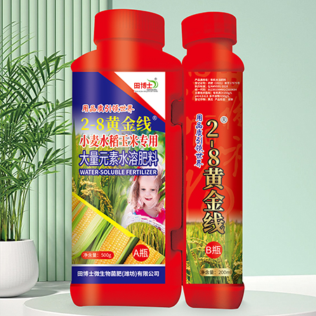 田博士28黄金线