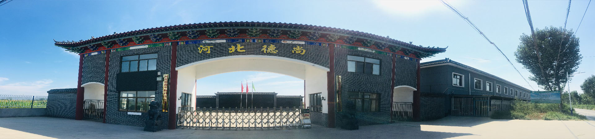 田博士28黄金线