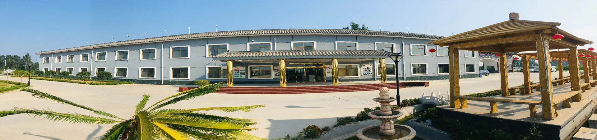 田博士28黄金线