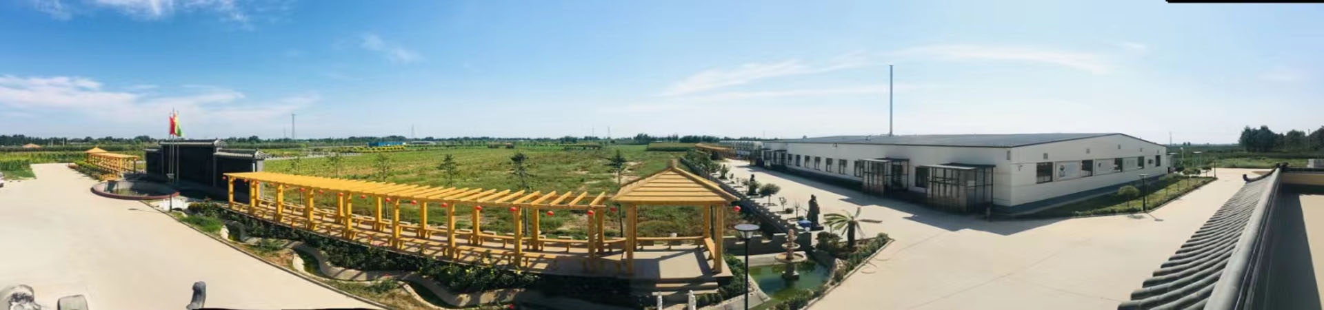 田博士28黄金线